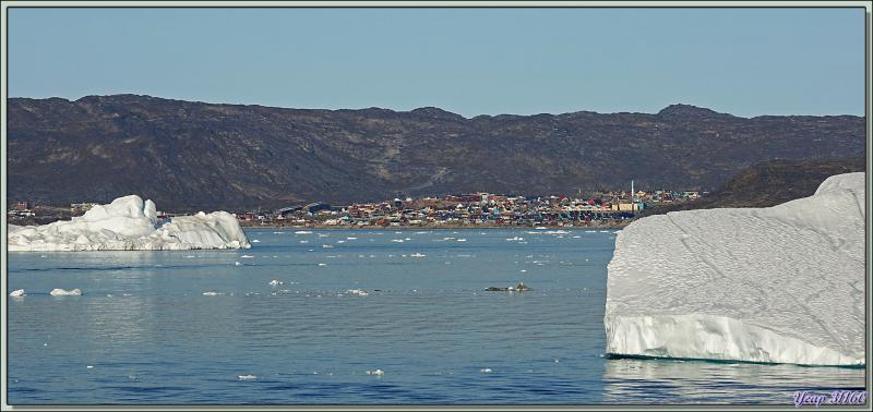 L'adieu à Ilulissat, nous continuons vers le sud pour le dernier jour de cette croisière et demain ce sera Evighedsfjorden - Groenland 