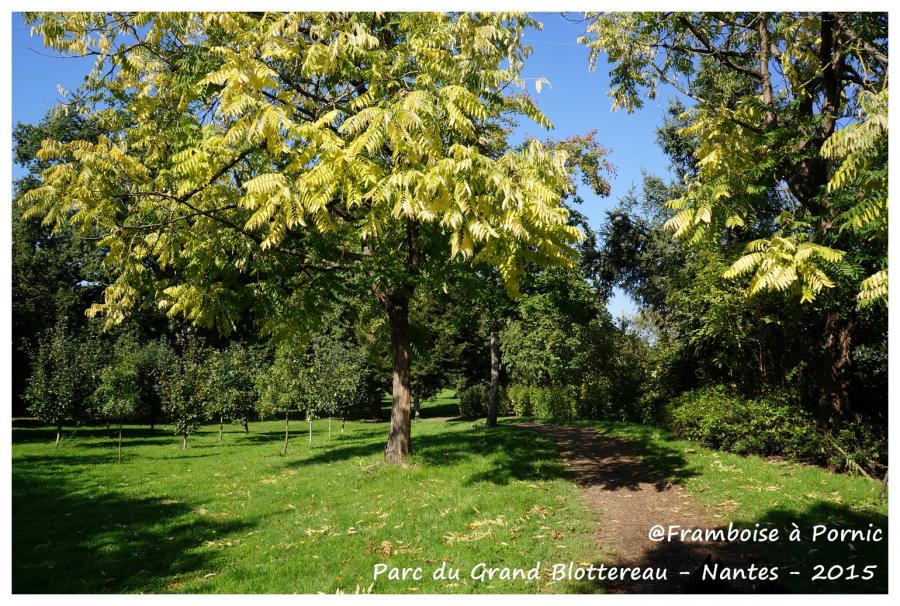 Nantes Parc du grand Blottereau - colline de Sunchéon - 2015