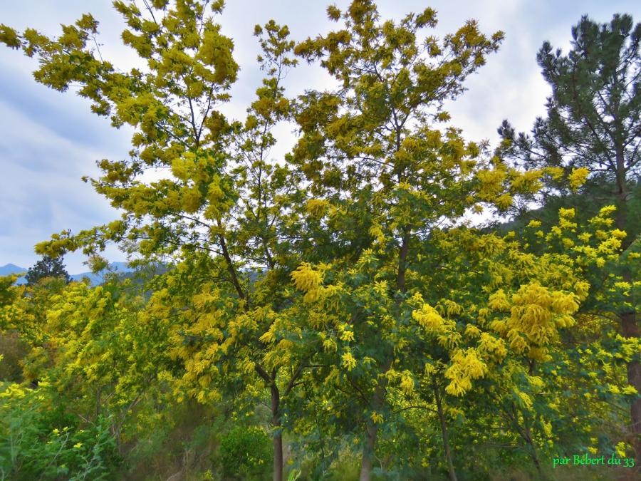 Auribeau sur Siagne dept 06