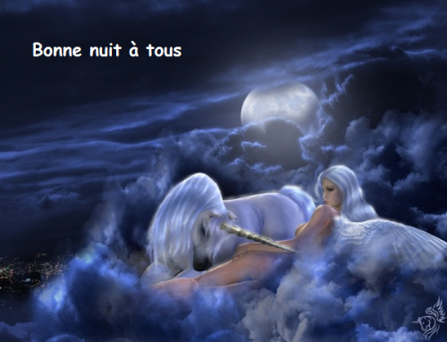 Bonne fin de soirée