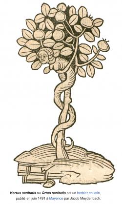 Enki et Ninhursag, à l'origine de l'Arbre de la Connaissance du Bien et du Mal