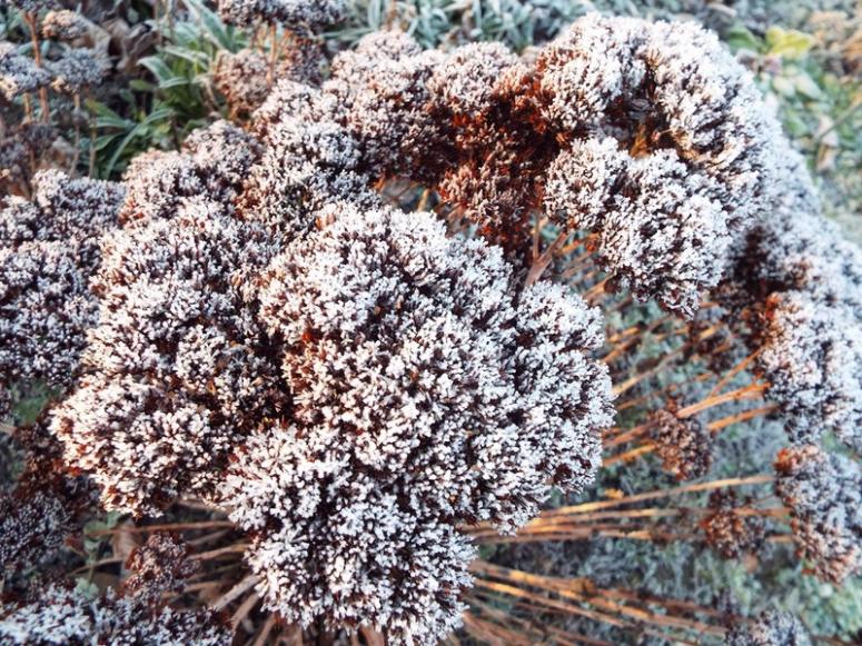 Ah ! ces hivers ! ...