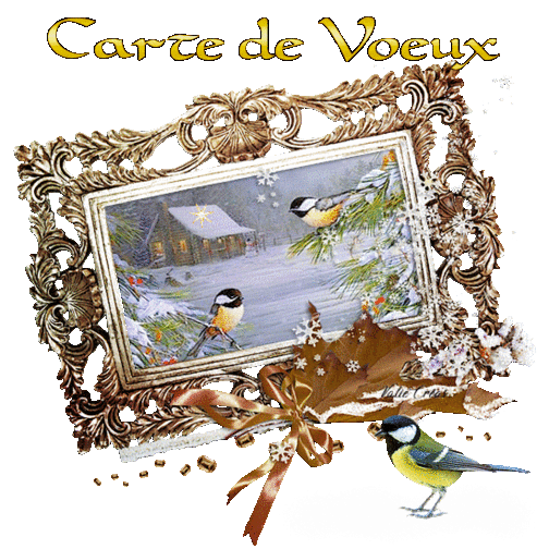 CARTES DE VOEUX 1
