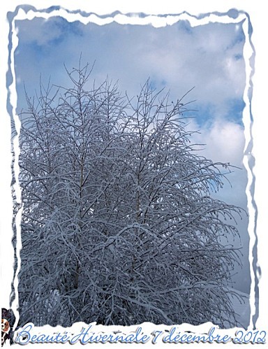 2012 12 07 neige5