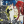erza-chan-