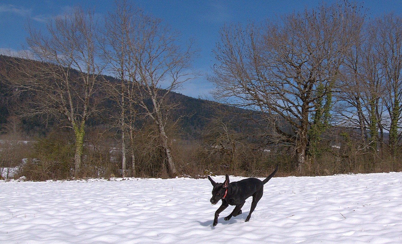 Le - avril 2019 : la course de Mira