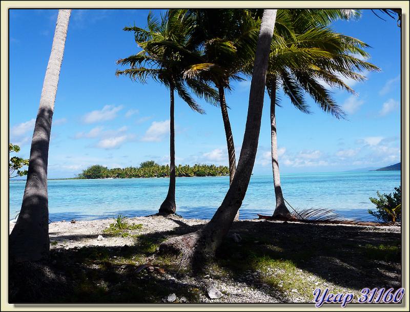 Le motu Tuuvahiné et le lagon vus du motu Porou - Tahaa - Polynésie française