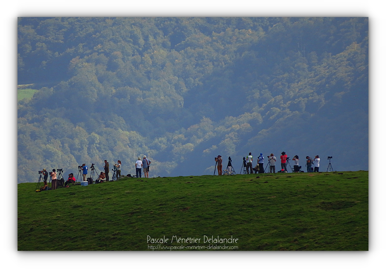 Balade en Iraty...