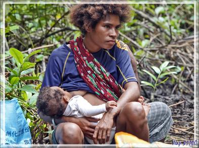 Nous sommes accueillis dans un plantation de sagoutiers où nous assisterons à l'extraction et la manipulation du sagou - Tufi - Maclaren Harbour - Province d'Oro - Papouasie Nouvelle-Guinée