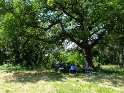 CR / RANDO 15 - RIONS - Lac de Laromet