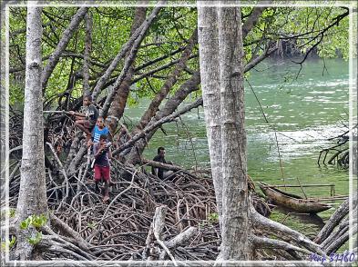 Le débarquement a eu lieu avec des images très colorées en pré-spectacle Sing Sing, qui sera peut-être le plus beau de tous - Tufi - Maclaren Harbour - Province d'Oro - Papouasie Nouvelle-Guinée