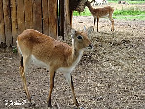 Dsc06376marq