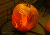 Gif_096.gif