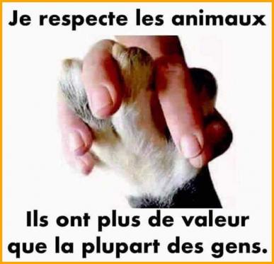 ღ꧁ღ╭⊱ꕥ Son Alimentation ꕥ⊱╮ღ꧂ღ