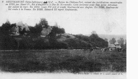 LES REMPARTS DE NEUF-MARCHE (Seine-Maritime)