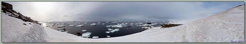 Vue panoramique sur Antarctic Sound à partir des hauteurs de Brown Bluff 