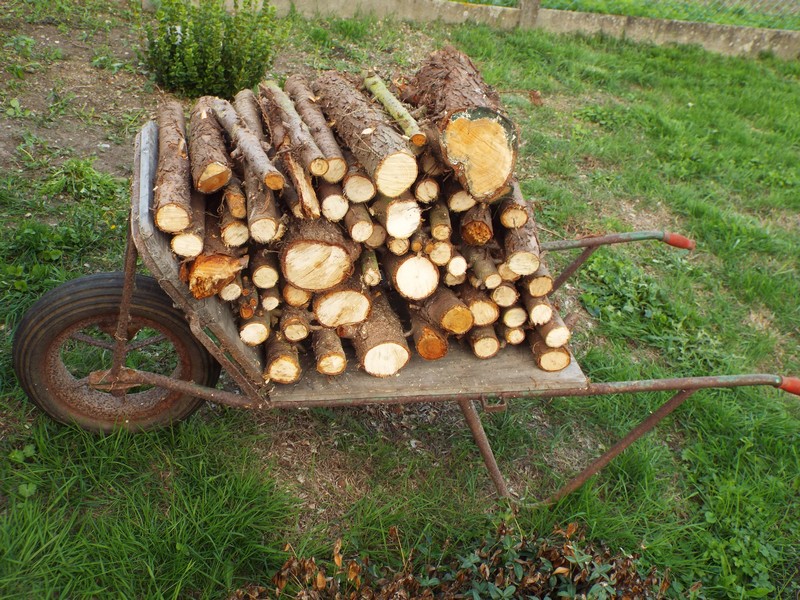 la brouette ...