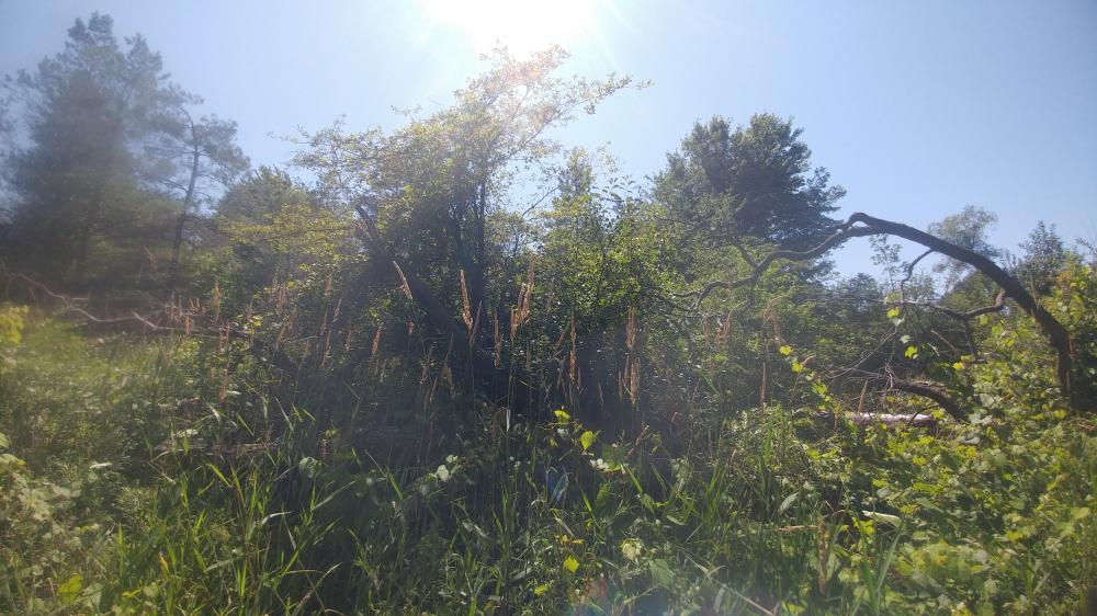 Tour de l'Ontario 2021: De Goderich à Point Edwards