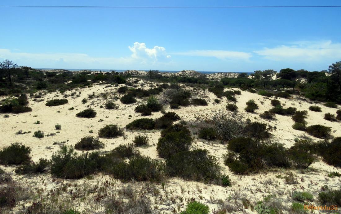 Comporta au Portugal