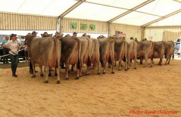 Les Journées Châtillonnaises 2015