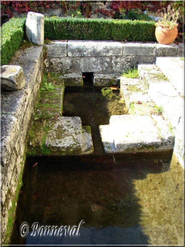 Abbaye de Fontdouce 12ème siècle Charente-Maritime bassin dans les jardins