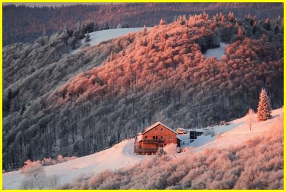 ╰⊱♥⊱╮ღ꧁ Département 88  ꧂ღ╭⊱♥≺