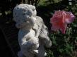 Résultat de recherche d'images pour "rose ange"