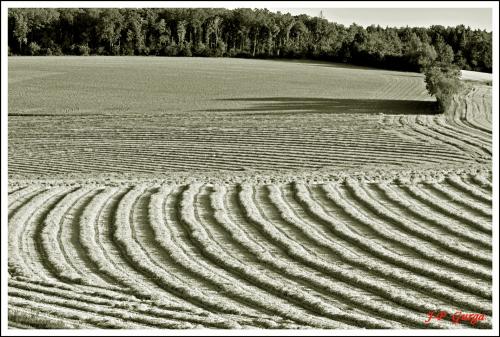 Paysages Châtillonnais en noir et blanc, par Jean-Pierre Gurga