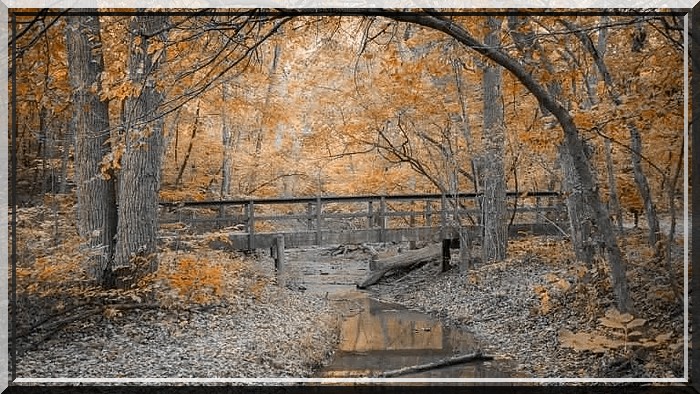 "Chant d'Automne" poème de Charles Baudelaire
