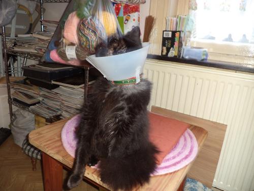 Rhaaaa! Je suis fatiguée!