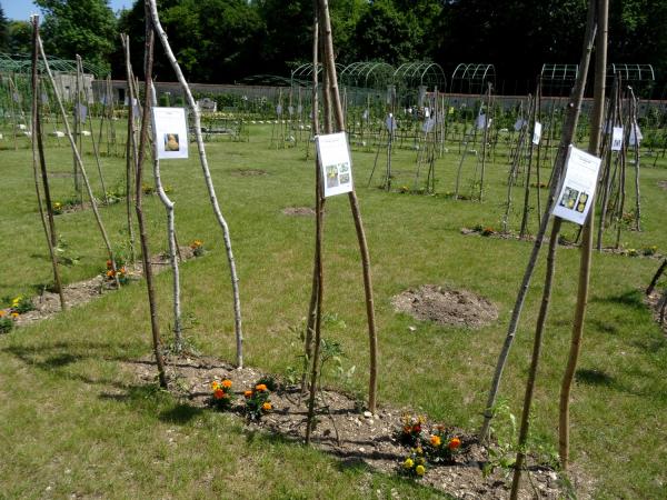 L'Assemblée Générale 2015 des Amis du Château de Montigny sur Aube