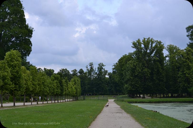 Rambouillet : L'Orage