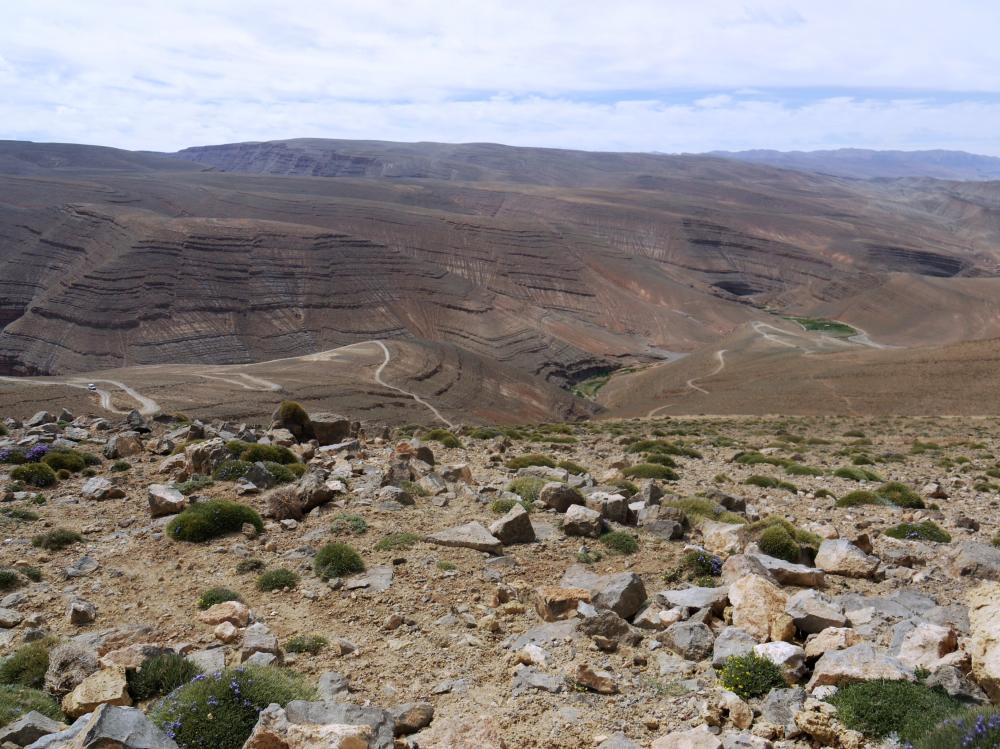 M'Semrir - Agoudal