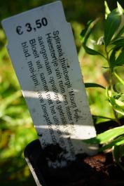 Chantilly : le bonheur d'être jardinier 3/3
