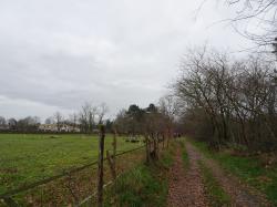CR / RANDO 15 / ST-MEDARD-EN-JALLES