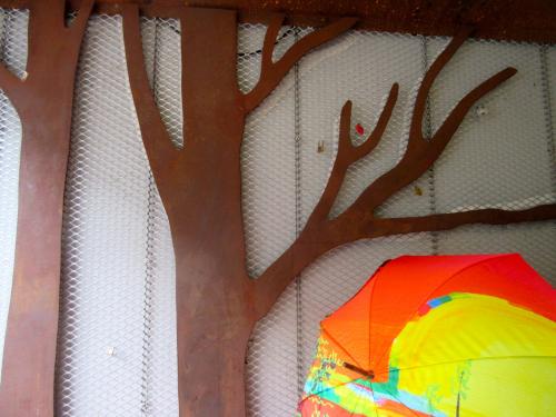 Arbres d'exception et parapluies rares