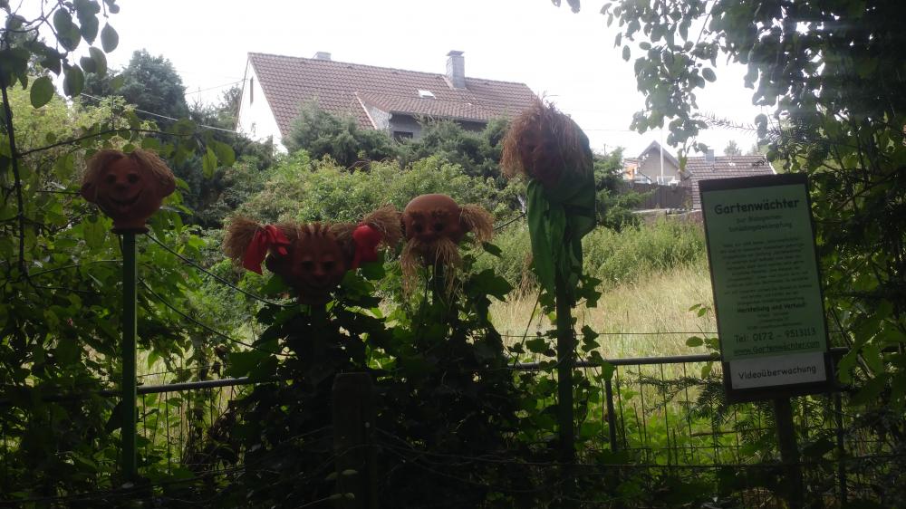 Leverkusen 2019: Diepentalsperre