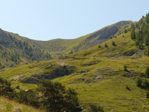 Tête de Louis XVI (Méolans-Revel - Ubaye)