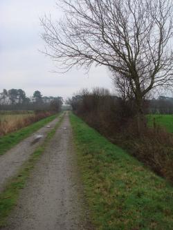 La campagne reinoise