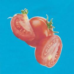 La tomate