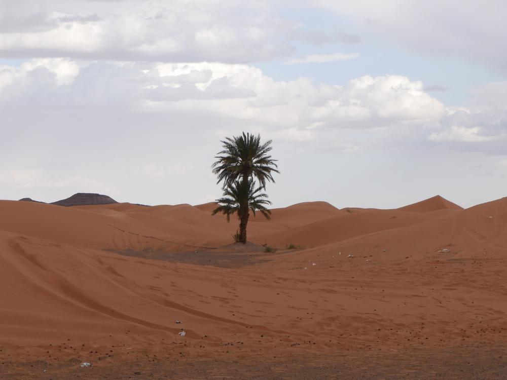 Les dunes de Merzouga
