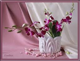 encore des fleurs