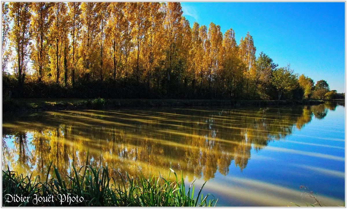 85 . Vendée - La Chaize le Vicomte (24) - Etang communal