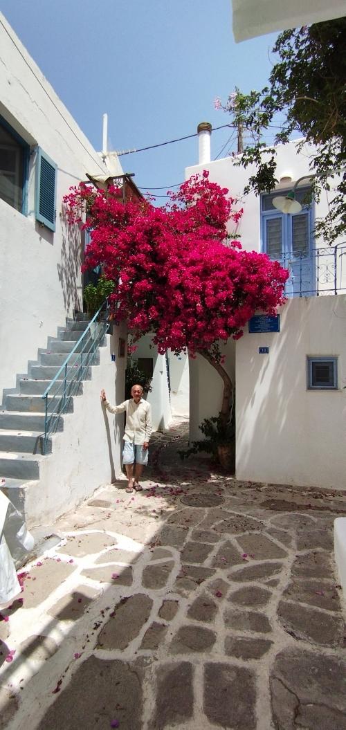 PAROS en couleurs !