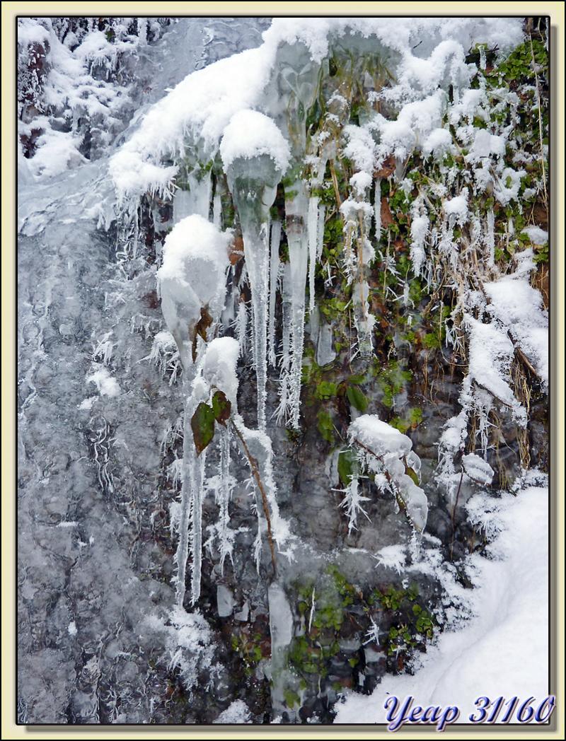 Que du blanc où on ne distingue pas grand-chose: zoom - Paloumère - Milhas - 31
