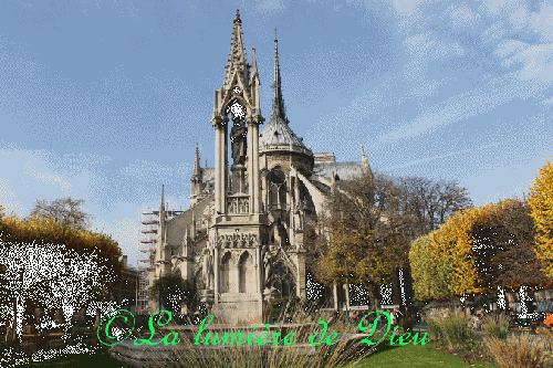 La cathédrale Notre-Dame de Paris