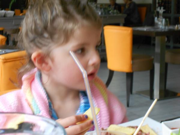 La semaine dernière avec mes puces (fin)