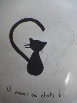 Les différents dessins :
