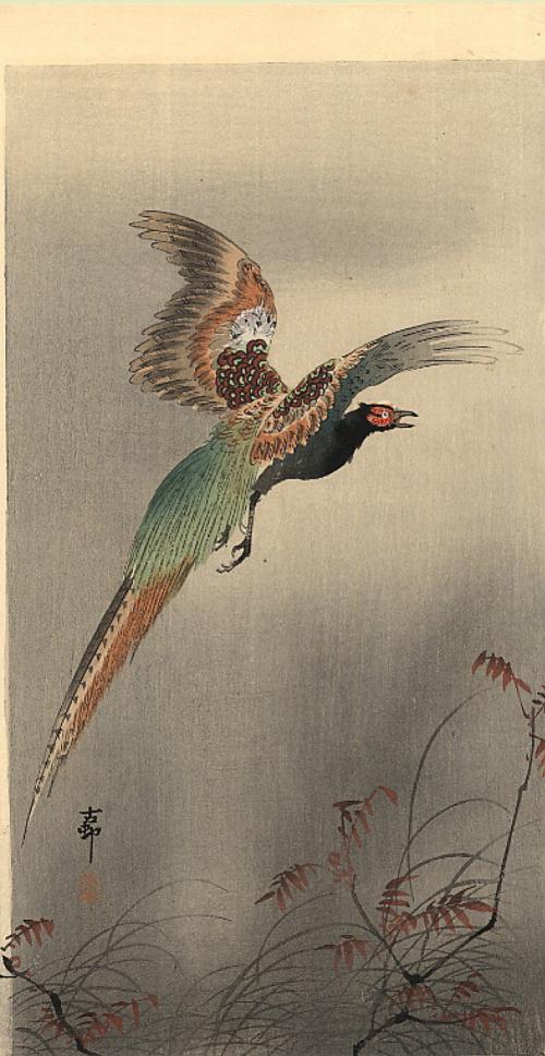 Koson Ohara Artiste peintre