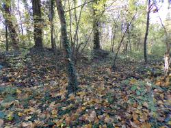 L'automne et Novembre s'écoulent tranquillement